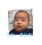 zen113（個別スタンプ：1）