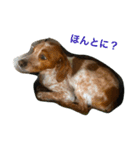 こてつ02（個別スタンプ：4）