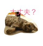 くるみとぽん太の日常（個別スタンプ：8）