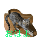 くるみとぽん太の日常（個別スタンプ：10）