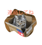 くるみとぽん太の日常（個別スタンプ：11）