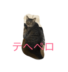 くるみとぽん太の日常（個別スタンプ：18）