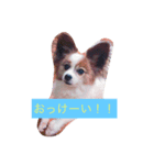 はまかな（個別スタンプ：2）