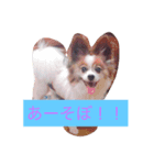 はまかな（個別スタンプ：5）