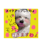 モコたろ。（個別スタンプ：1）