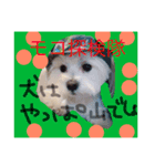 モコたろ。（個別スタンプ：5）