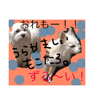 モコたろ。（個別スタンプ：8）