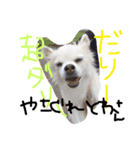 towa san（個別スタンプ：1）