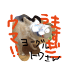 towa san（個別スタンプ：2）