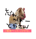 towa san（個別スタンプ：3）