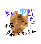 towa san（個別スタンプ：4）