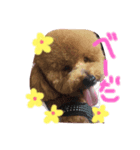 kimoikimoi1（個別スタンプ：7）