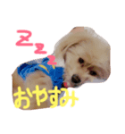 kimoikimoi1（個別スタンプ：8）
