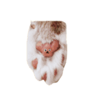 MomiMoca（個別スタンプ：7）