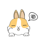 the fortune bunny（個別スタンプ：7）