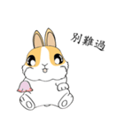 the fortune bunny（個別スタンプ：37）