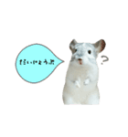 ふう太style.（個別スタンプ：12）