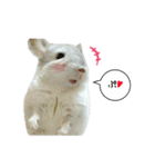 ふう太style.（個別スタンプ：13）