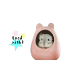 ふう太style.（個別スタンプ：16）