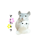 ふう太style.（個別スタンプ：18）