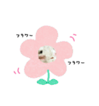 ふう太style.（個別スタンプ：24）