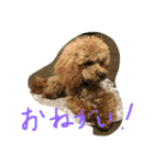 宜しく2（個別スタンプ：3）