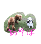 宜しく2（個別スタンプ：5）
