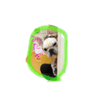 GaoGaoスタンプ（個別スタンプ：28）
