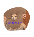 ココグリの日常（個別スタンプ：7）