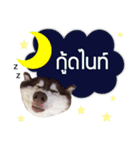 Kaijeaw dog（個別スタンプ：4）