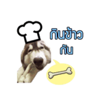 Kaijeaw dog（個別スタンプ：5）