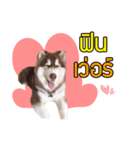 Kaijeaw dog（個別スタンプ：7）