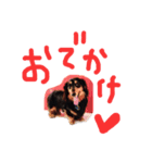 ダックスフンドのコロコハル vol.2（個別スタンプ：21）