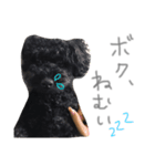 あらんあとむ（個別スタンプ：2）