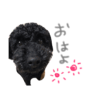 あらんあとむ（個別スタンプ：4）