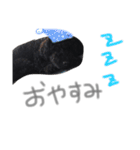あらんあとむ（個別スタンプ：5）