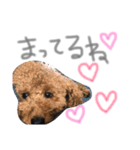あらんあとむ（個別スタンプ：6）