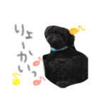 あらんあとむ（個別スタンプ：7）