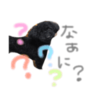 あらんあとむ（個別スタンプ：10）