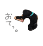 あらんあとむ（個別スタンプ：11）