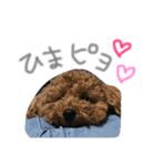 あらんあとむ（個別スタンプ：12）