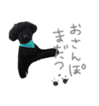 あらんあとむ（個別スタンプ：13）