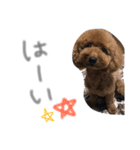あらんあとむ（個別スタンプ：14）