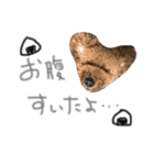 あらんあとむ（個別スタンプ：15）