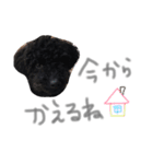 あらんあとむ（個別スタンプ：16）