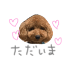 あらんあとむ（個別スタンプ：17）
