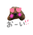 あらんあとむ（個別スタンプ：22）