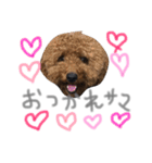 あらんあとむ（個別スタンプ：23）