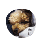 バーディーピーポー！（個別スタンプ：7）