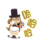 Fat old rice dog show time（個別スタンプ：1）